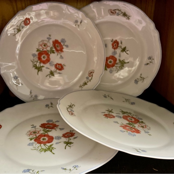 Arcopal Paradise glass dinner plate - Picture 1 of 8